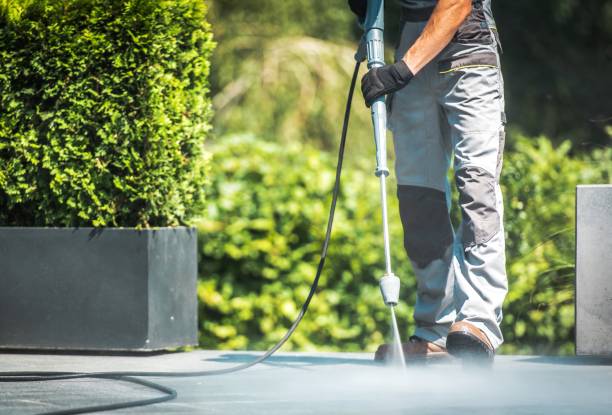 Best Fence Cleaning  in Wayne Heights, PA